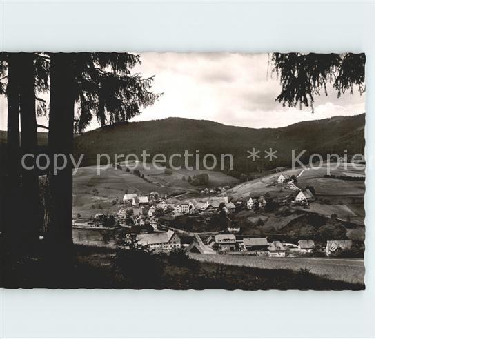 Roet Baiersbronn Gasthof Sonne Pension