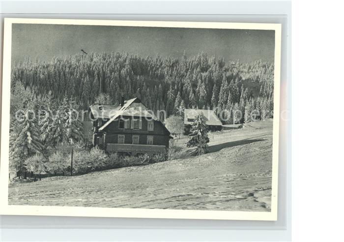 Schoenwald Schwarzwald Hotel Sommerberg