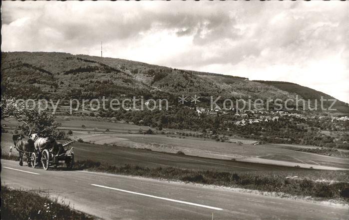 Dannenfels Blick Fernsehturm Pferde