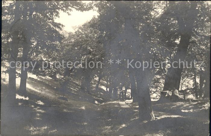 Ludwigshafen Rhein Krankenhaus Dannenfels Edelkastanienwald