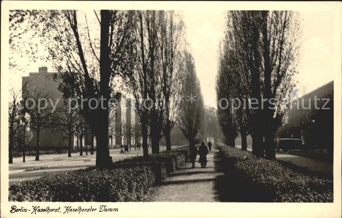 BERLIN  CITY Haselhorst Damm