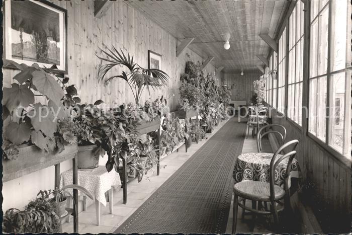 Friedenweiler Baer's Hotel-Kurhaus