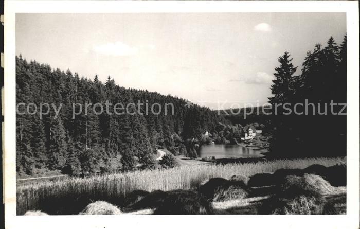 Friedenweiler Ortsansicht