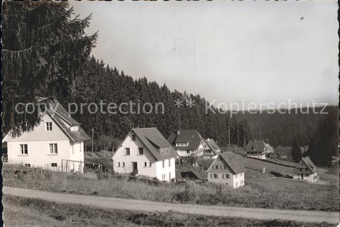 Friedenweiler Haeuser