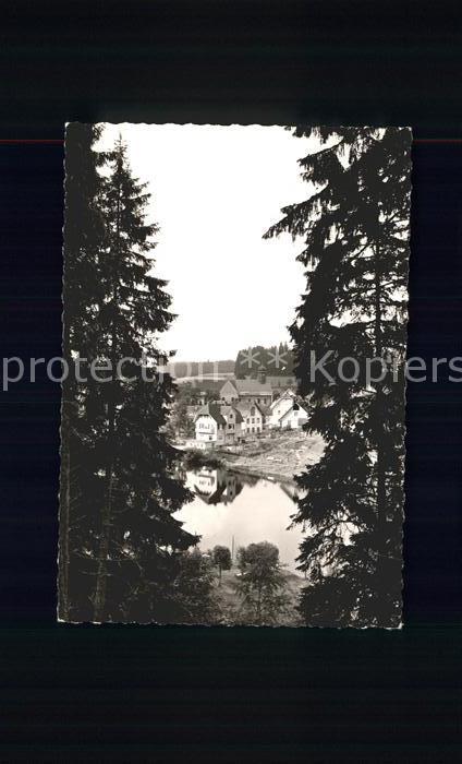 Friedenweiler Walddurchblick