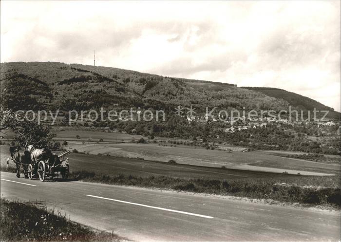 Dannenfels Blick Fernsehturm Pferde