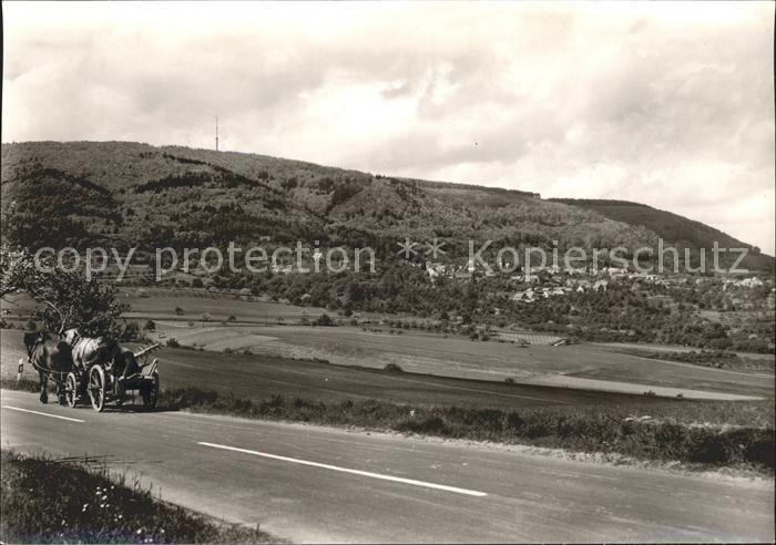 Dannenfels Blick Fernsehturm Pferde