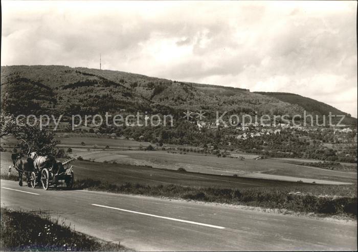 Dannenfels Blick Fernsehturm Pferde