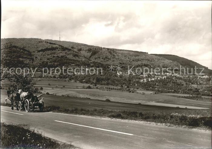 Dannenfels Blick Fernsehturm Pferde