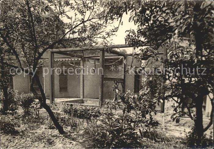 Mainz Rhein Teilansicht Volteren