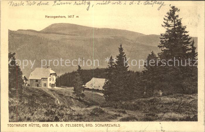Feldberg Schwarzwald Herzogenhorn Todtnauer Huette