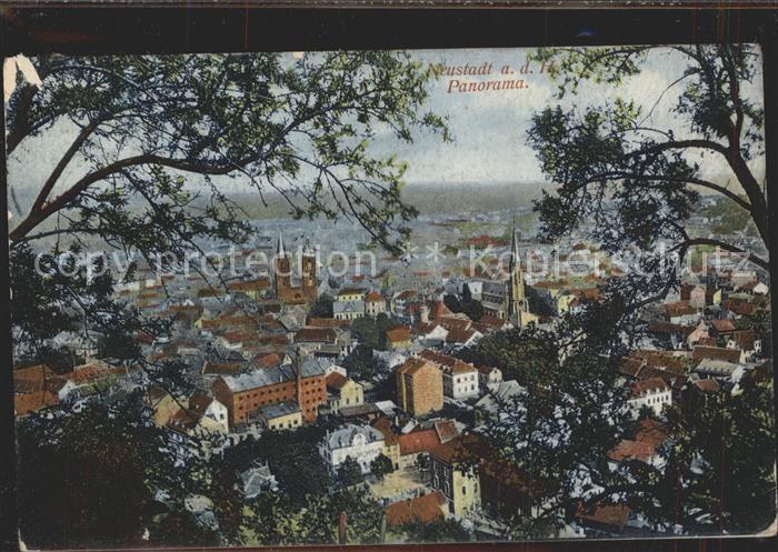 Neustadt Haardt Panorama