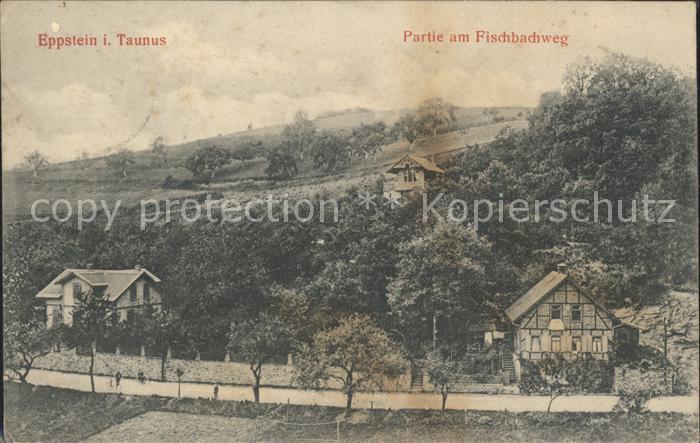 Eppstein Taunus Partie Fischbachweg