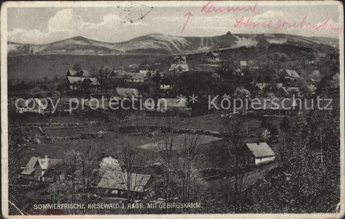 Kiesewald Riesengebirge Gebirgskamm