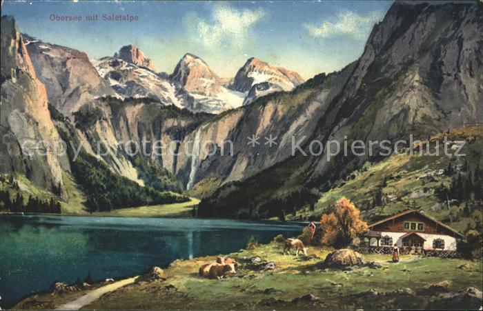 Saletalpe Partie am Obersee