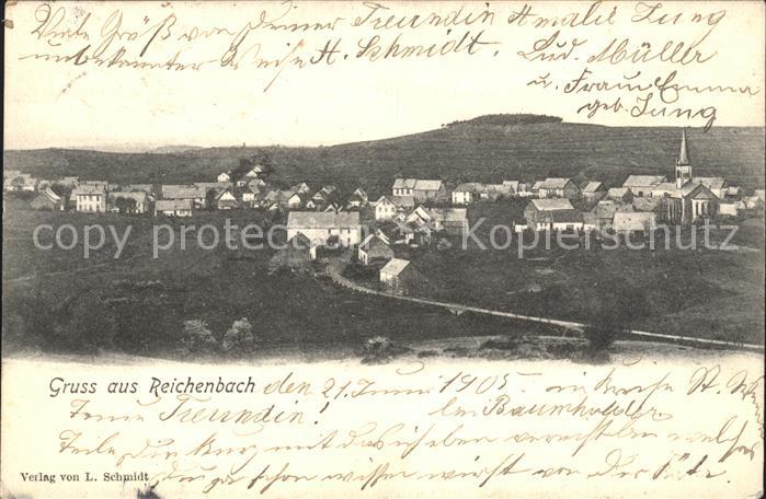Reichenbach Birkenfeld Ortsansicht