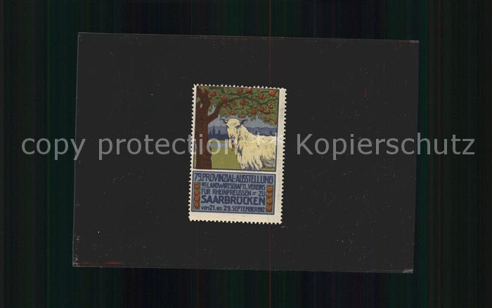 SAARBRueCKEN Saarland Postmarke 79 Provinzial-Ausstellung