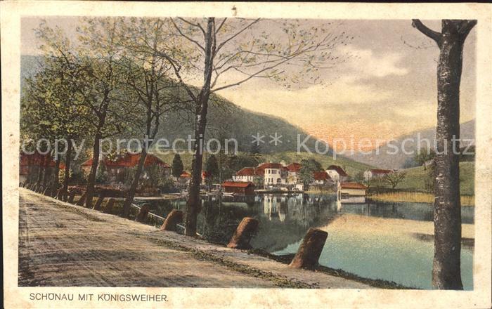 Schoenau Pfalz Koenigsweiher