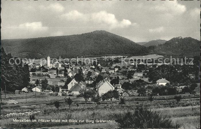 Merzalben Blick Burg Graefenstein