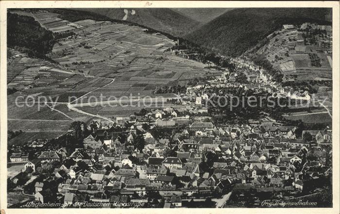 Wachenheim Weinstrasse Fliegeraufnahme