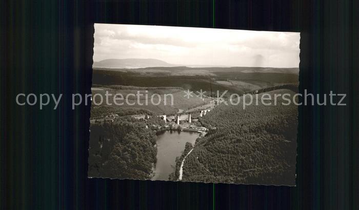 Gruenstadt Eiswoog Fliegeraufnahme