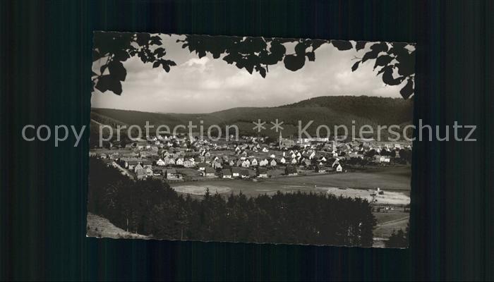 Muenchweiler Rodalb Walddurchblick