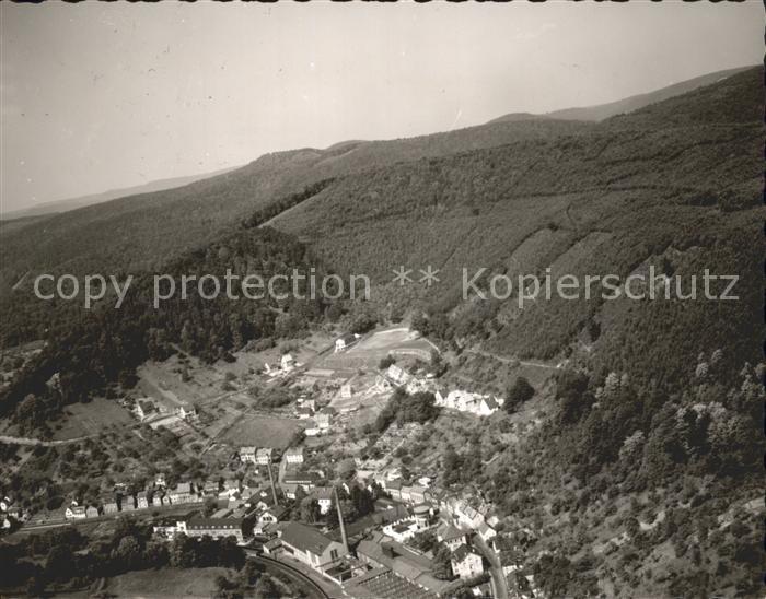 Frankeneck Fliegeraufnahme