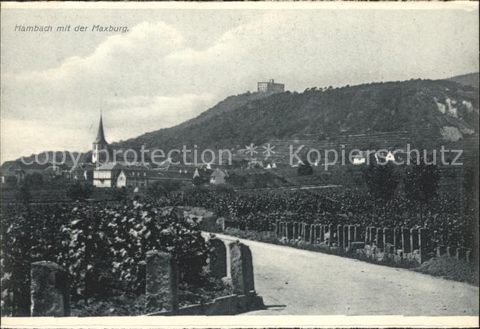 Hambach Neustadt Maxburg