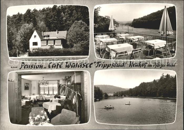 Trippstadt Pension Waldsee Boote Speisesaal Terrasse