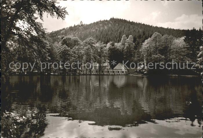 Neustadt Weinstrasse Forellenhaus Isenach Teich