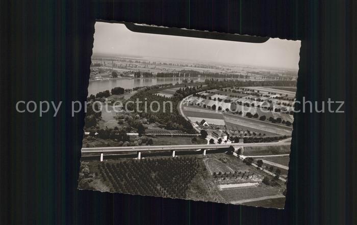 Speyer Rhein Fliegeraufnahme