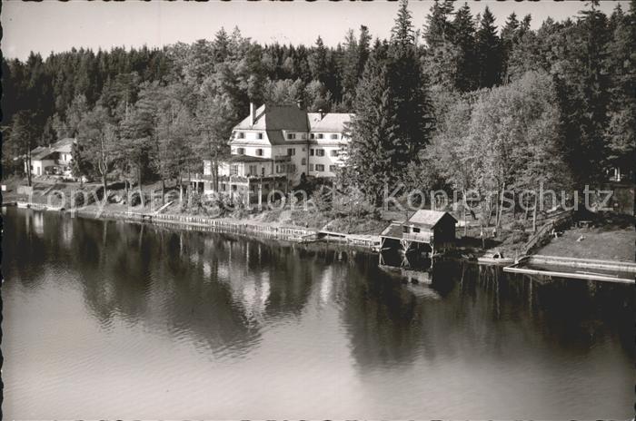 Abtsee Salzach Fliegeraufnahme Blume
