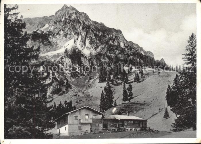 Bergen Chiemgau bruennlingalm am Hochfelln