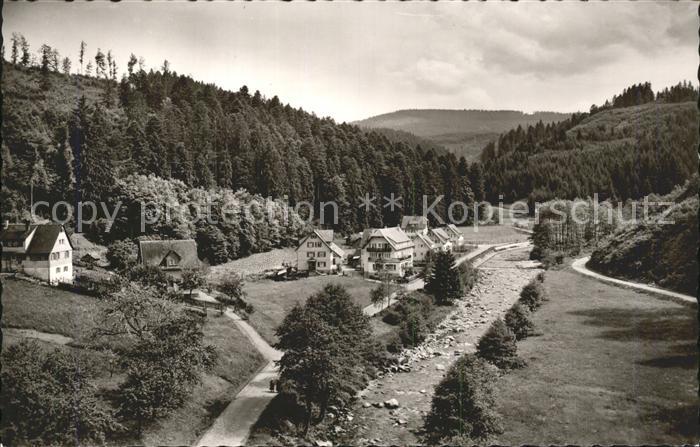 Schoenmuenzach Teilansicht