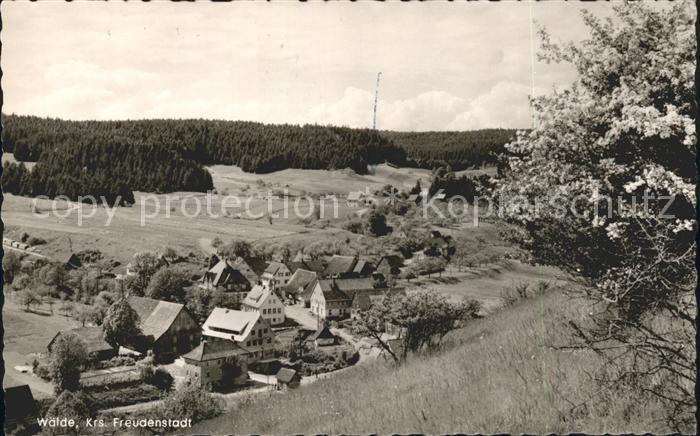 FREUDENSTADT BW Waelde Gashaus Pension zur Rose