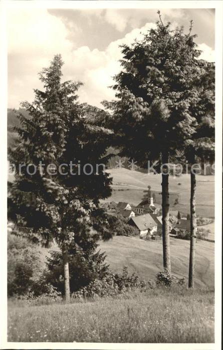 Schwarzenberg Baiersbronn Schwarzwaldhaus Sonnenwinkel