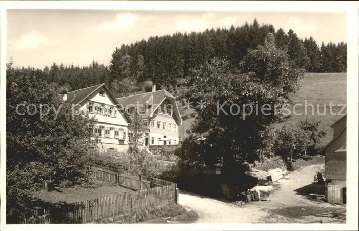 Schwarzenberg Baiersbronn Schwarzwaldhaus Sonnenwinkel Kuh