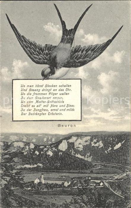 Beuron Donautal Schwalbe Gedicht