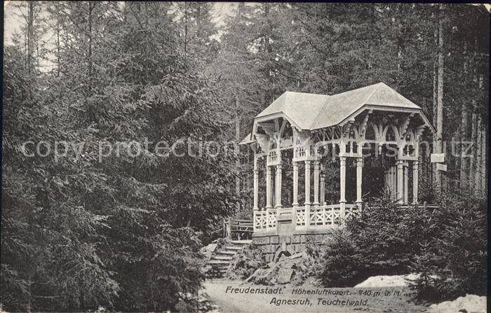 FREUDENSTADT BW Agnesruh Teuchelwald