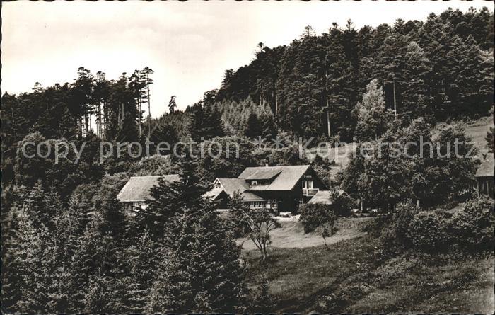 Bad Wildbad Pension Waldgastsaette Gruenhuette