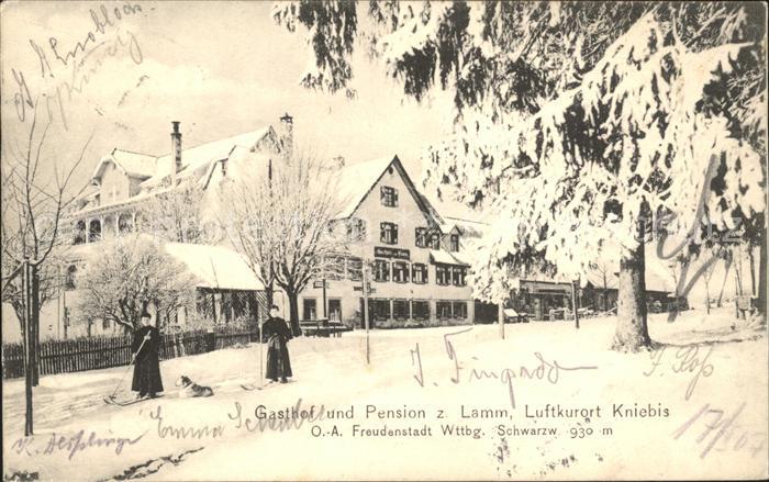 Kniebis Freudenstadt Gasthof Pension z. Lamm Hund