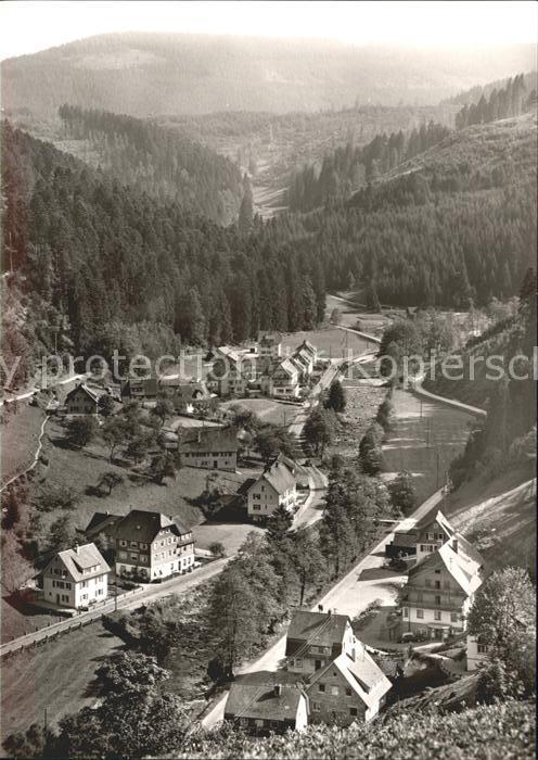 Schoenmuenzach Teilansicht