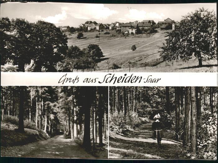 Scheiden Waldweg Teilansicht