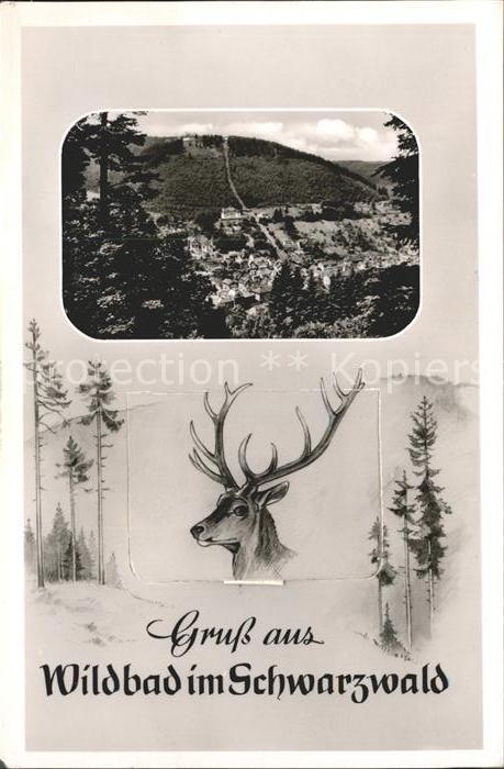 Wildbad Schwarzwald Reh Teilansicht