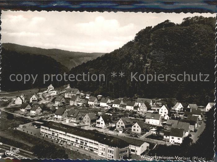 Wilgartswiesen Fliegeraufnahme Vorixel