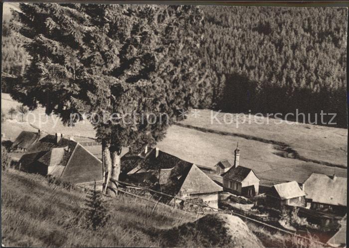Schluchsee Herbstsonne aeule Kirche