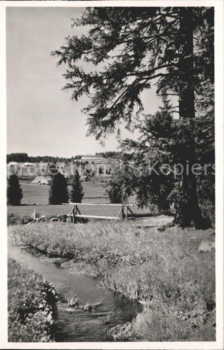 Falkau Hoehenkurort Gasthaus Fremdenheim zur Krone