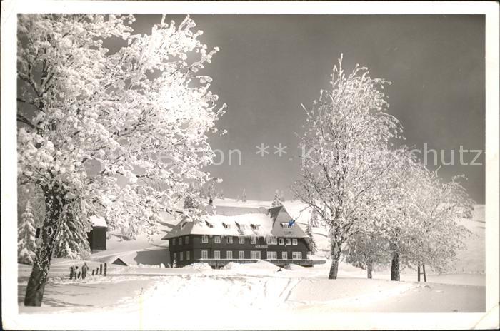 Feldberg Schwarzwald Schwarzwaldhotel Albquelle