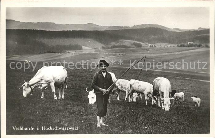 Schwarzwald Thueringen Gasthof Pension Herzogenhorn