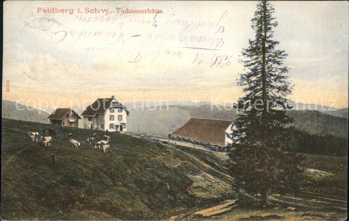 Feldberg Schwarzwald Todtnauerhuette